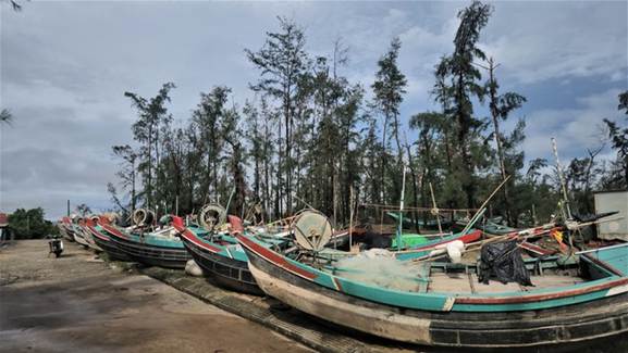 Hà Tĩnh sẽ sơ tán hơn 6.500 hộ dân trước cơn bão số 10 - Ảnh 2.