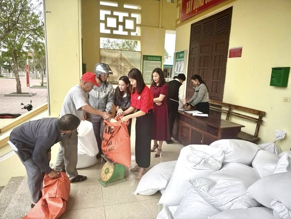 Xã Yên Hòa tiếp nhận và cấp phát gần 17 tấn gạo cho các hộ trên địa bàn