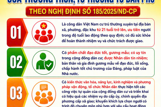 Nghị định 185/2026/NĐ-CP về tổ chức, hoạt động của thôn, tổ dân phố và chế độ, chính sách đối với người hoạt động không chuyên trách ở cơ sở