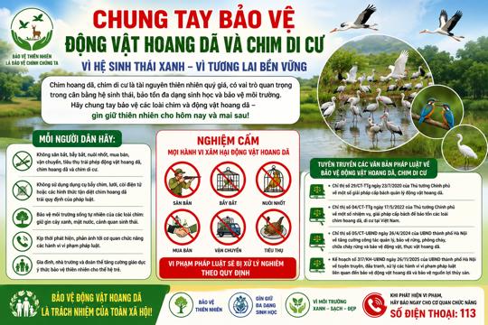 Chung tay bảo vệ động vật hoang dã và các loài chim di cư, tự nhiên trên địa bàn