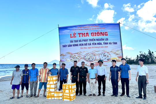 Xã Yên Hòa thả hơn 2 tấn ngao tím giống tái tạo nguồn thủy sản